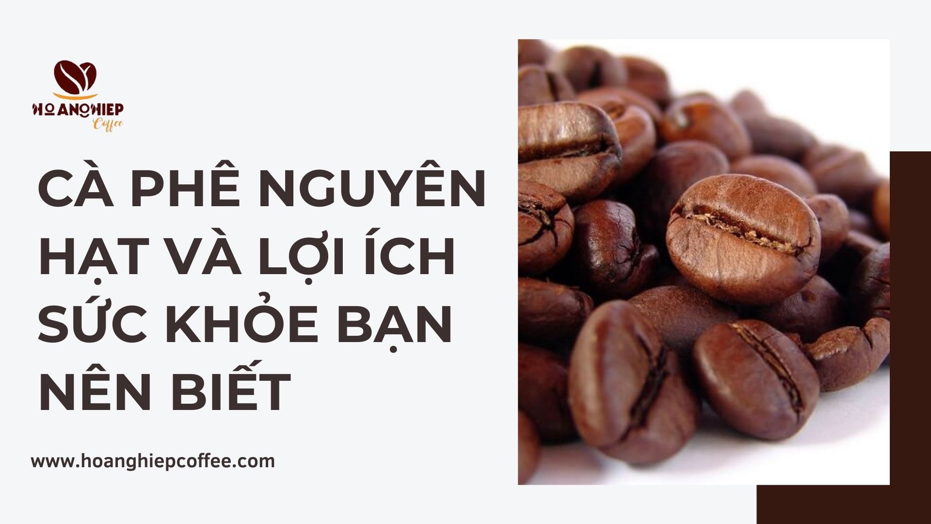 ca-phe-nguyen-hat-va-loi-ich-suc-khoe-ban-nen-biet