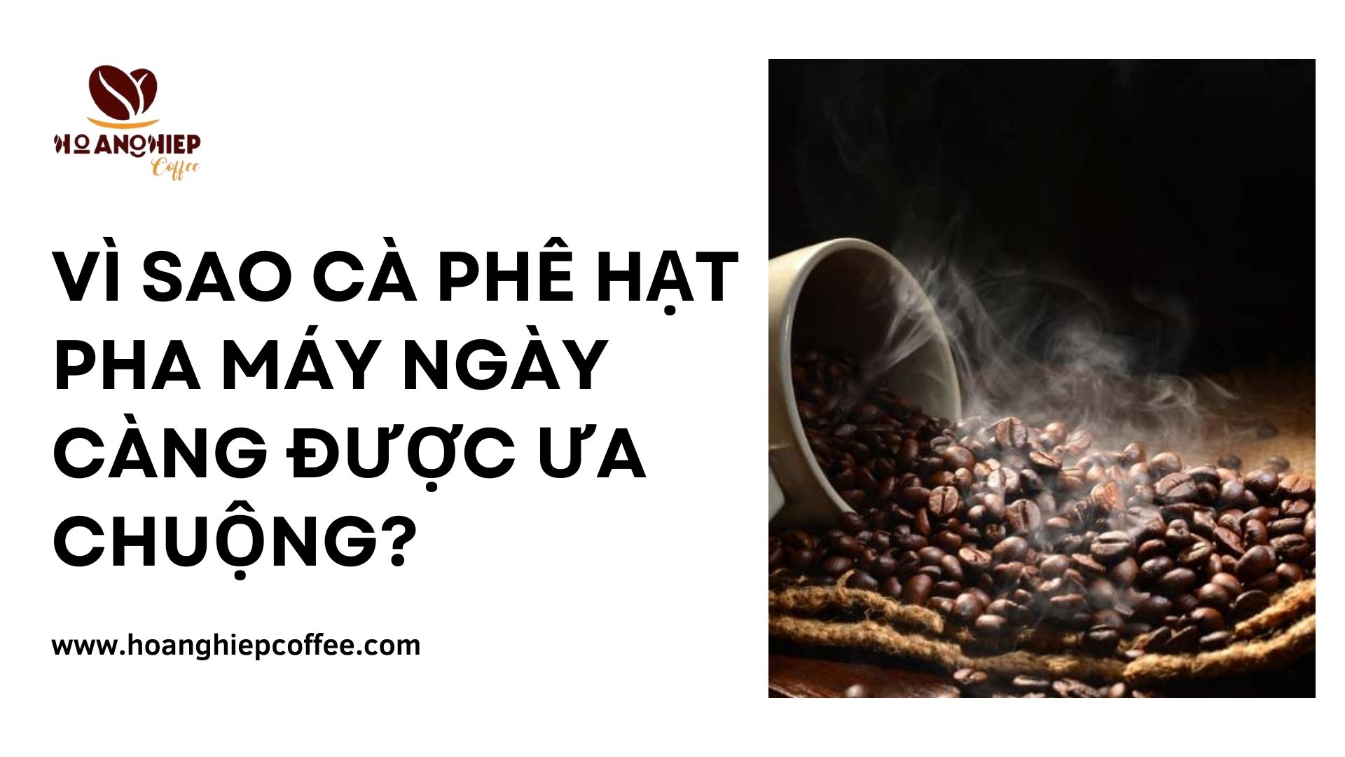 vi-sao-ca-phe-hat-pha-may-ngay-cang-duoc-ua-chuong