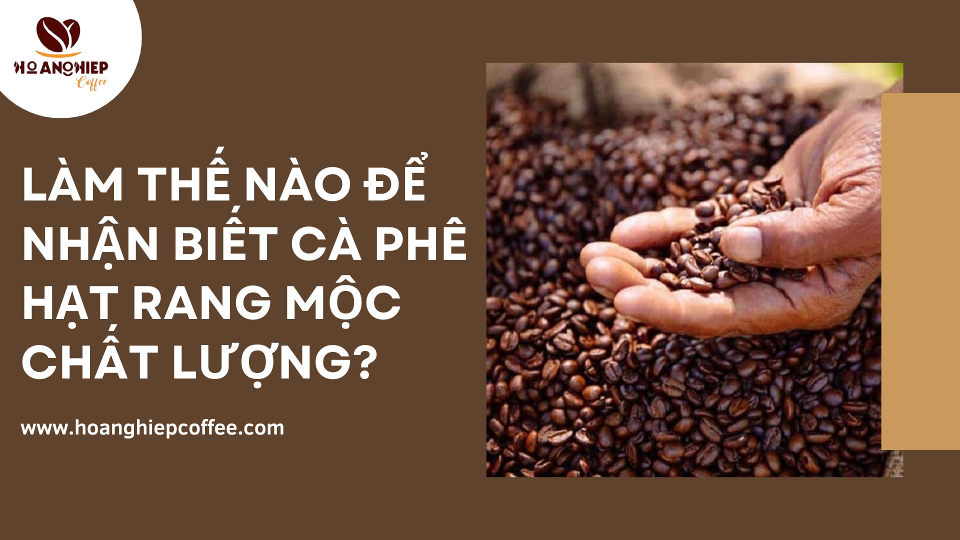 lam-the-nao-de-nhan-biet-ca-phe-hat-rang-moc-chat-luong