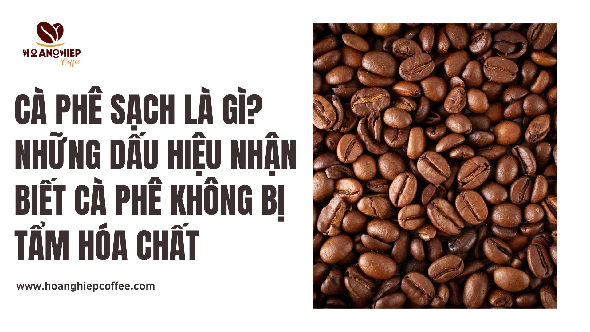 ca-phe-sach-la-gi-nhung-dau-hieu-nhan-biet-ca-phe-khong-bi-tam-hoa-chat