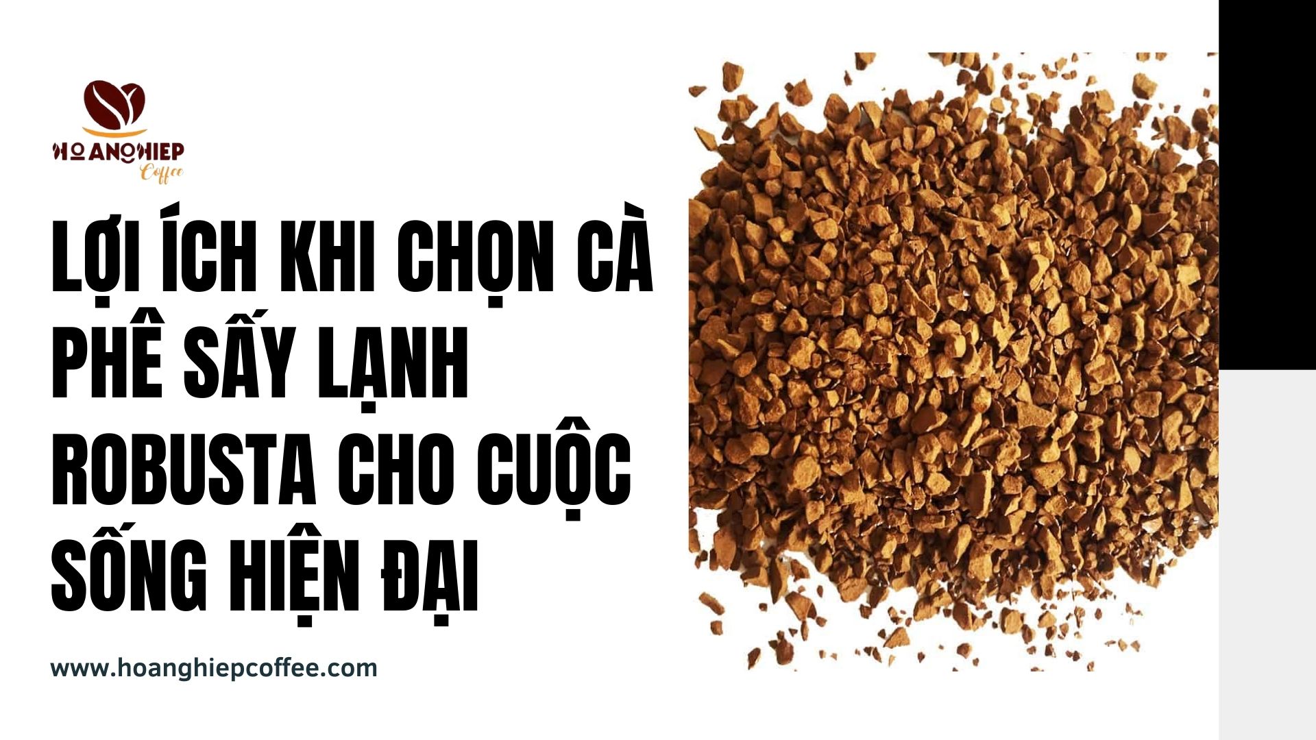 loi-ich-khi-chon-ca-phe-say-lanh-robusta-cho-cuoc-song-hien-dai