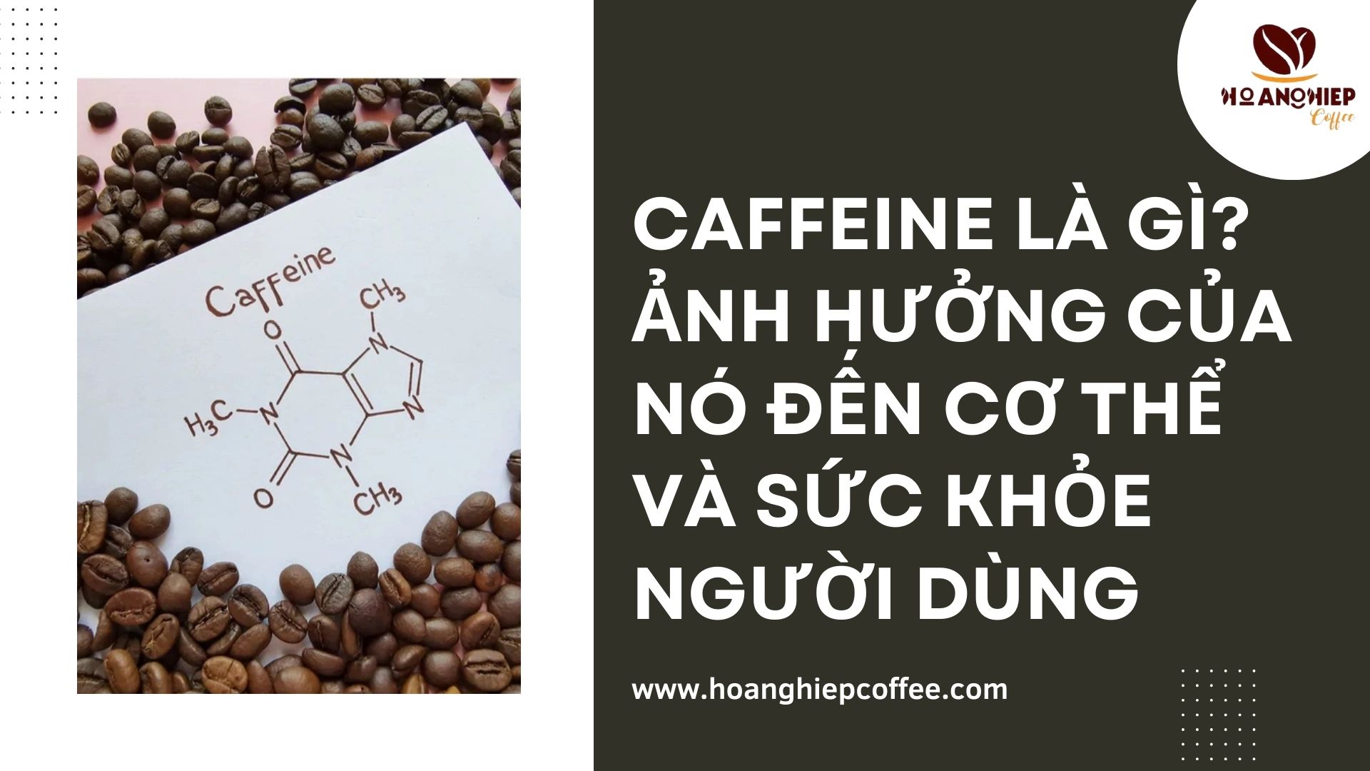 caffeine-la-gi-anh-huong-cua-no-den-co-the-va-suc-khoe-nguoi-dung