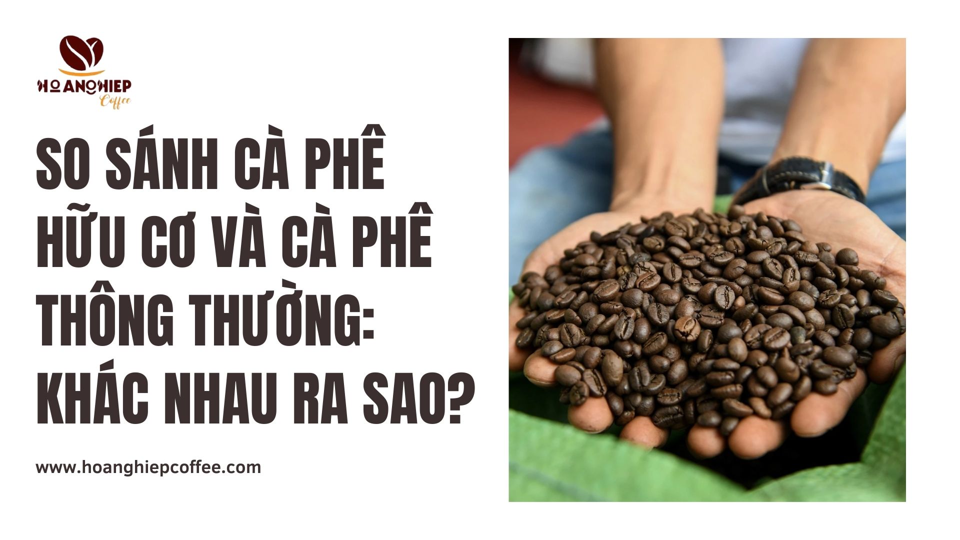 so-sanh-ca-phe-huu-co-va-ca-phe-thong-thuong-khac-nhau-ra-sao
