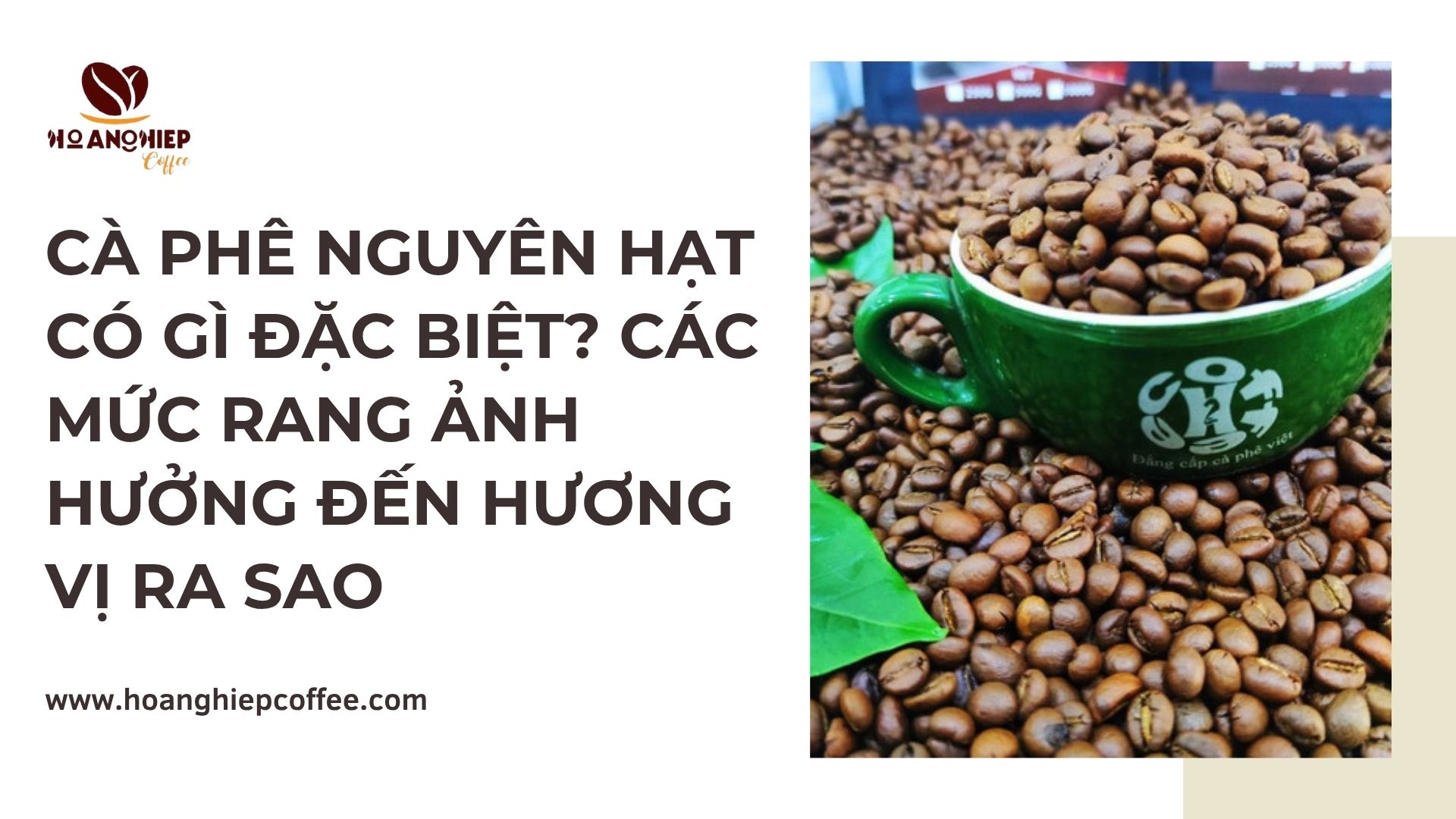 ca-phe-nguyen-hat-co-gi-dac-biet-cac-muc-rang-anh-huong-den-huong-vi-ra-sao