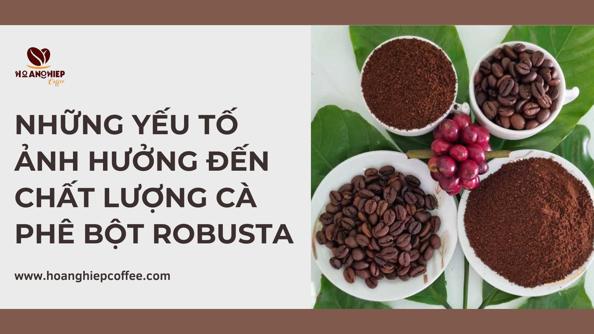 nhung-yeu-to-anh-huong-den-chat-luong-ca-phe-bot-robusta