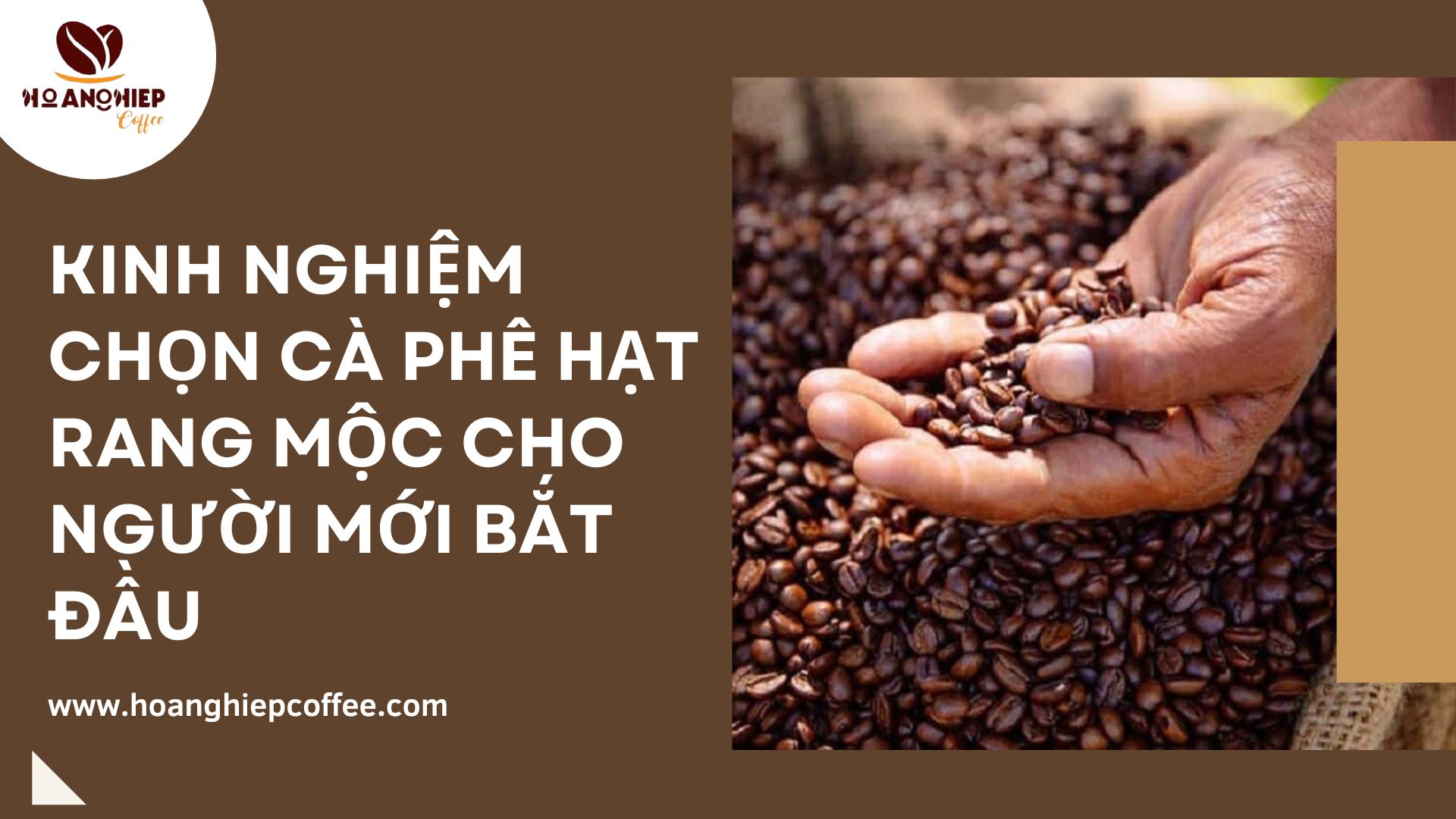 kinh-nghiem-chon-ca-phe-hat-rang-moc-cho-nguoi-moi-bat-dau