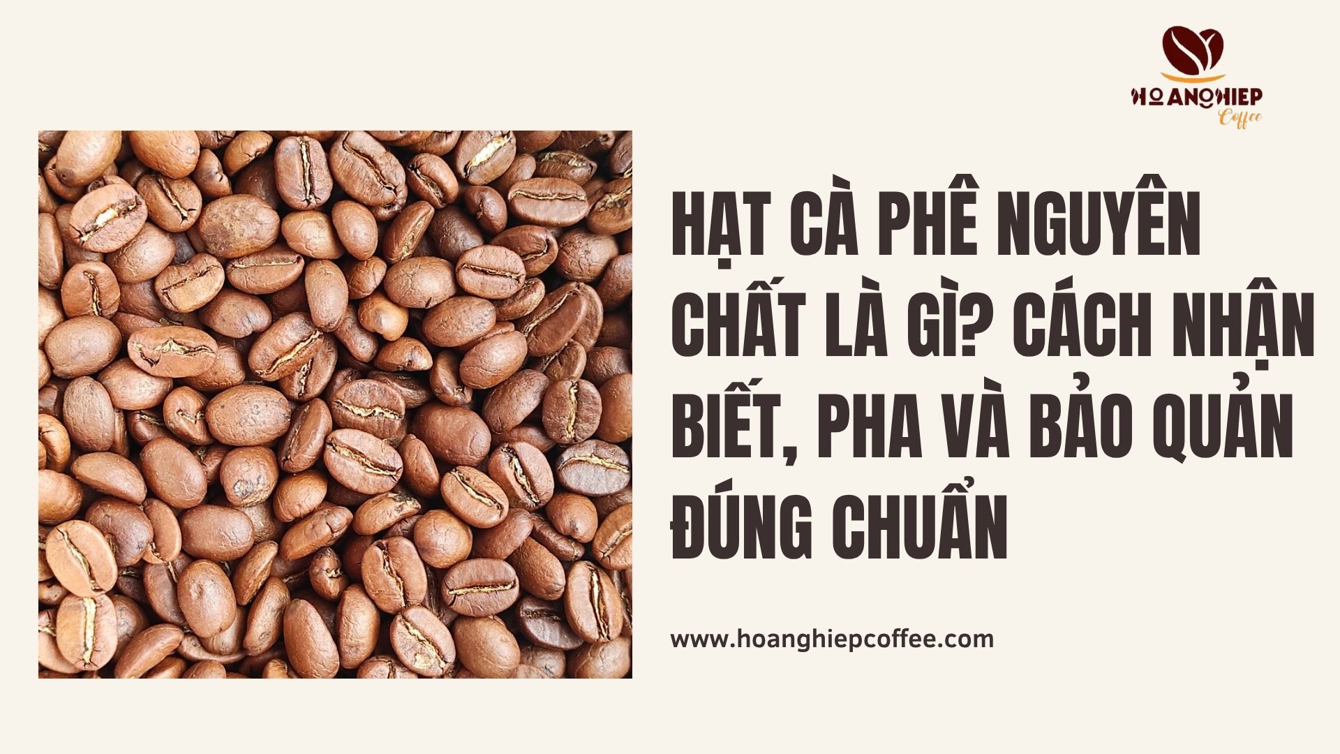 hat-ca-phe-nguyen-chat-la-gi-cach-nhan-biet-pha-va-bao-quan-dung-chuan