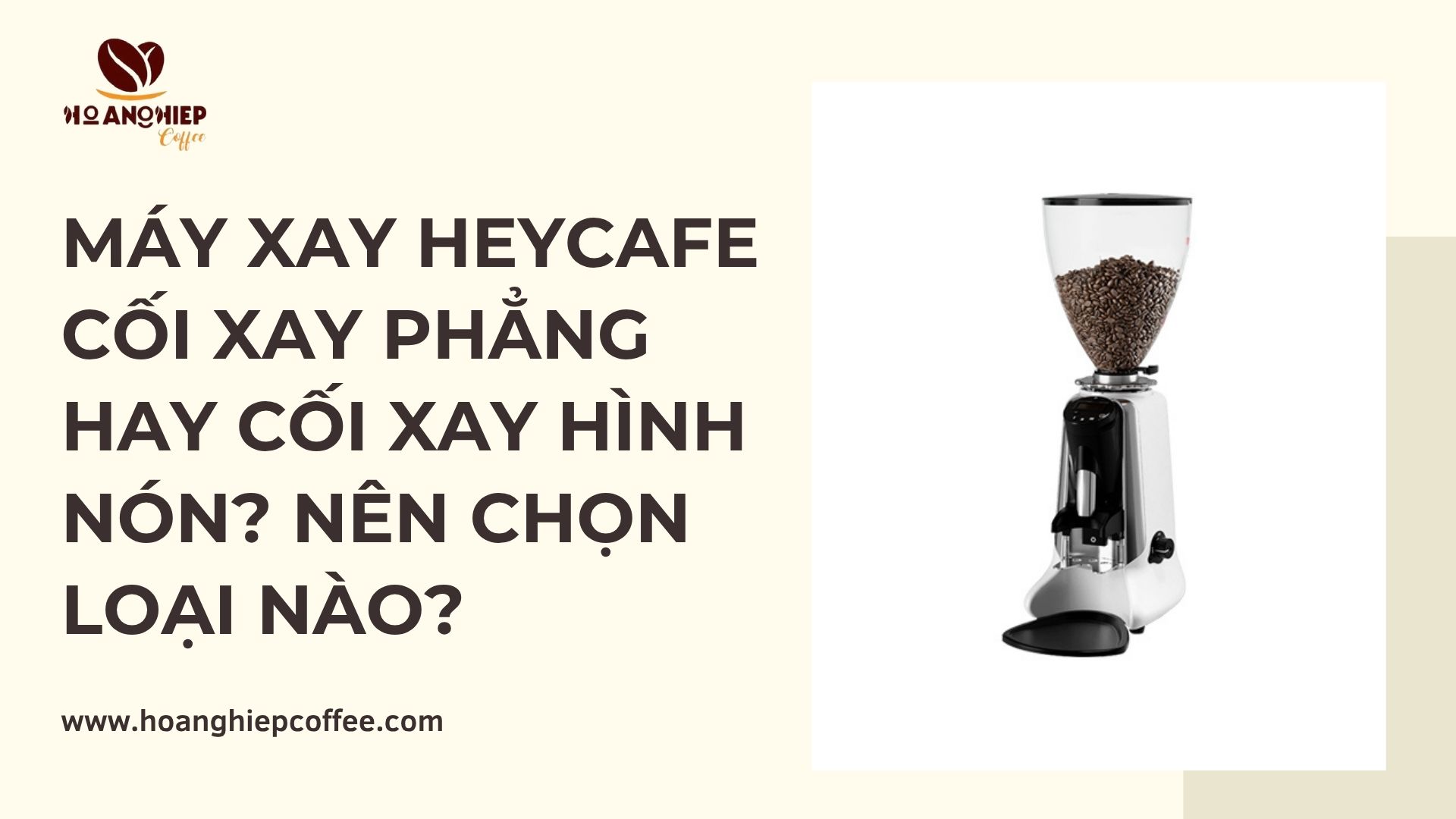 may-xay-heycafe-coi-xay-phang-hay-coi-xay-hinh-non-nen-chon-loai-nao