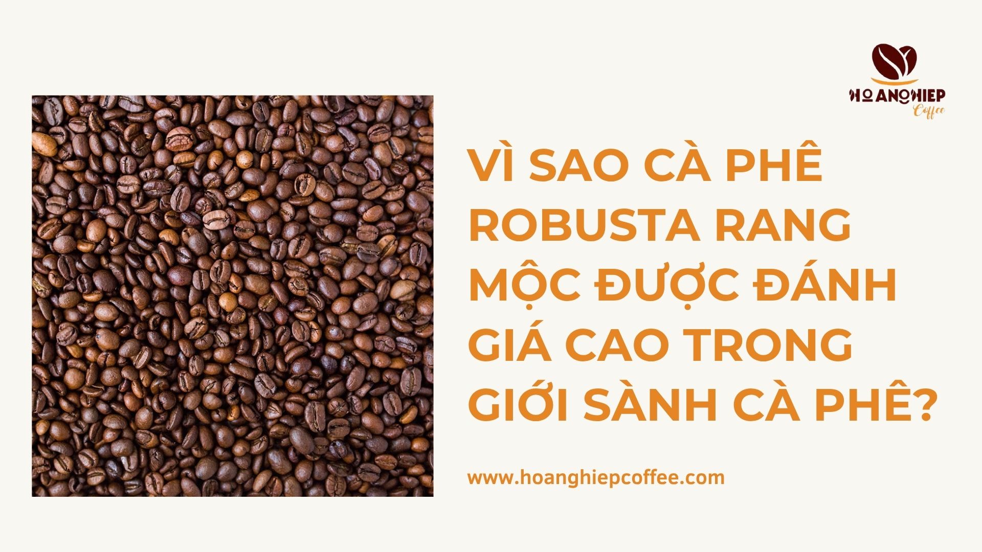 vi-sao-ca-phe-robusta-rang-moc-duoc-danh-gia-cao-trong-gioi-sanh-ca-phe