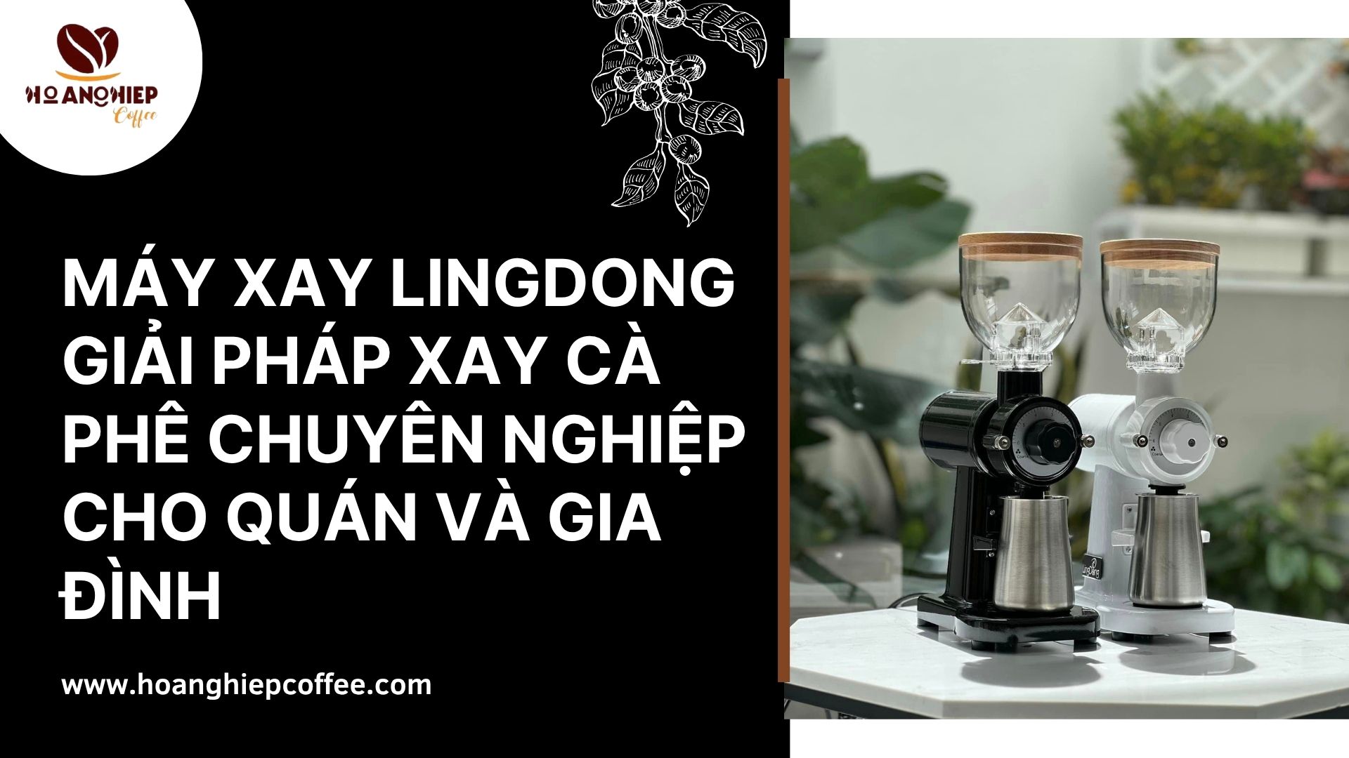 may-xay-lingdong-giai-phap-xay-ca-phe-chuyen-nghiep-cho-quan-va-gia-dinh