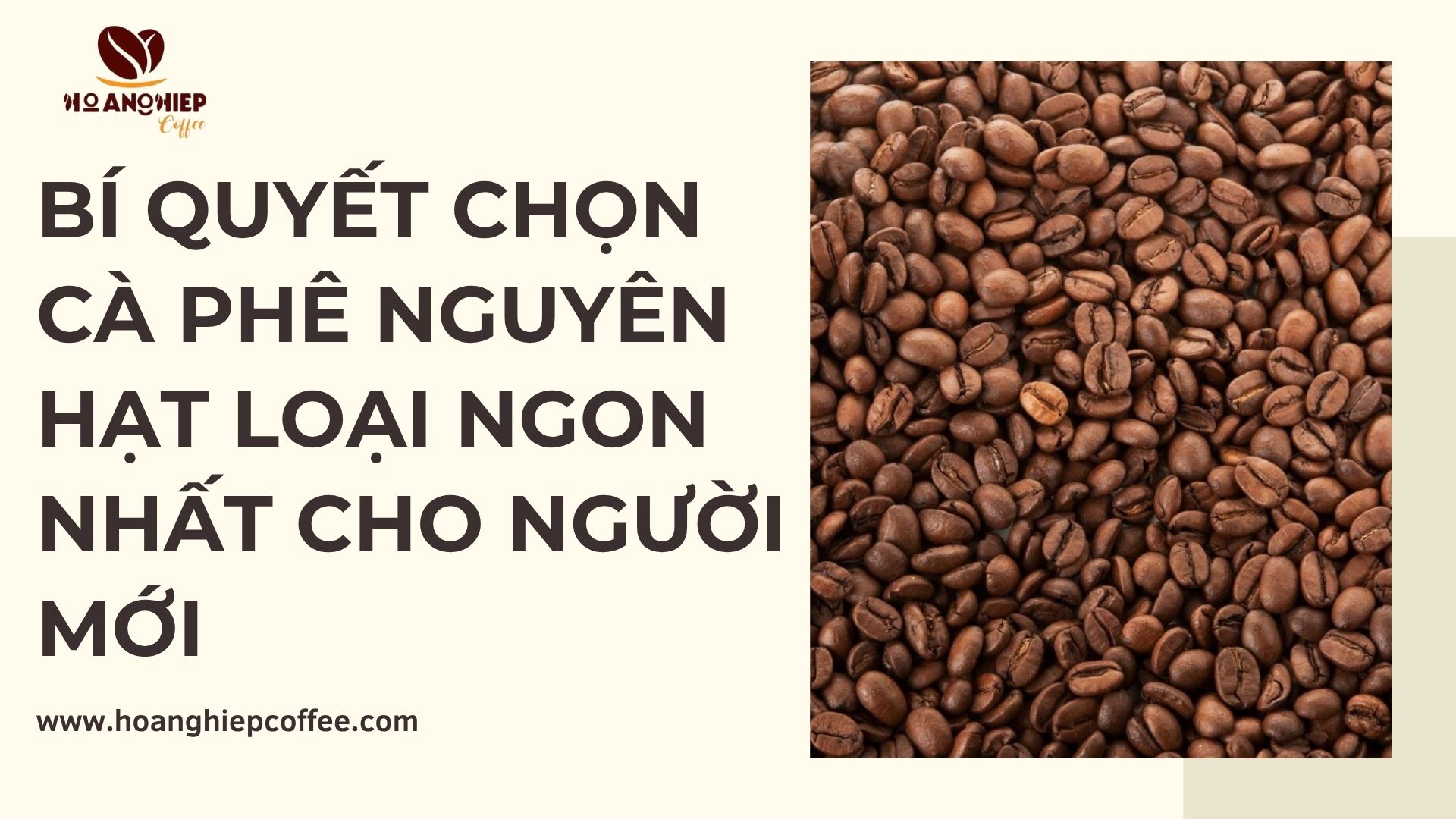bi-quyet-chon-ca-phe-nguyen-hat-loai-ngon-nhat-cho-nguoi-moi