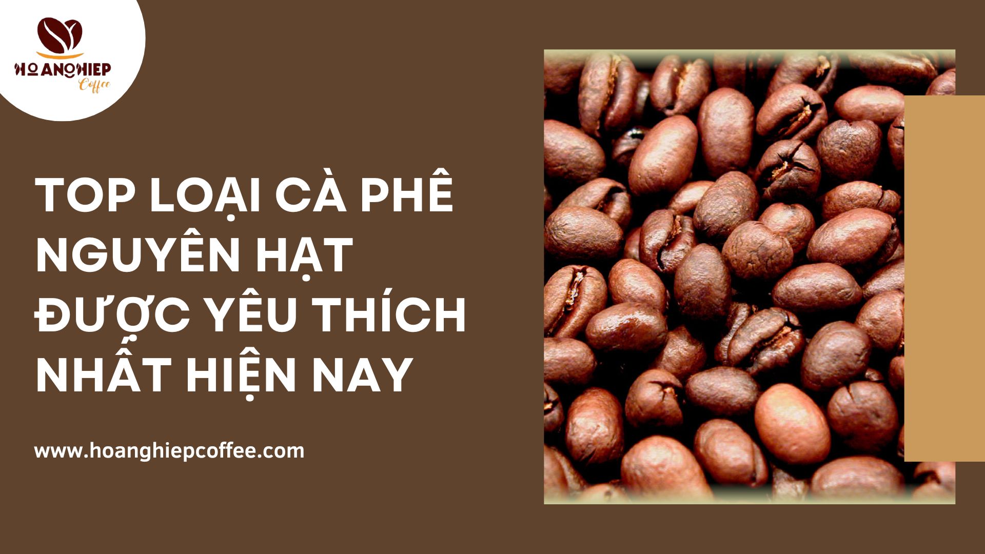 top-loai-ca-phe-nguyen-hat-duoc-yeu-thich-nhat-hien-nay