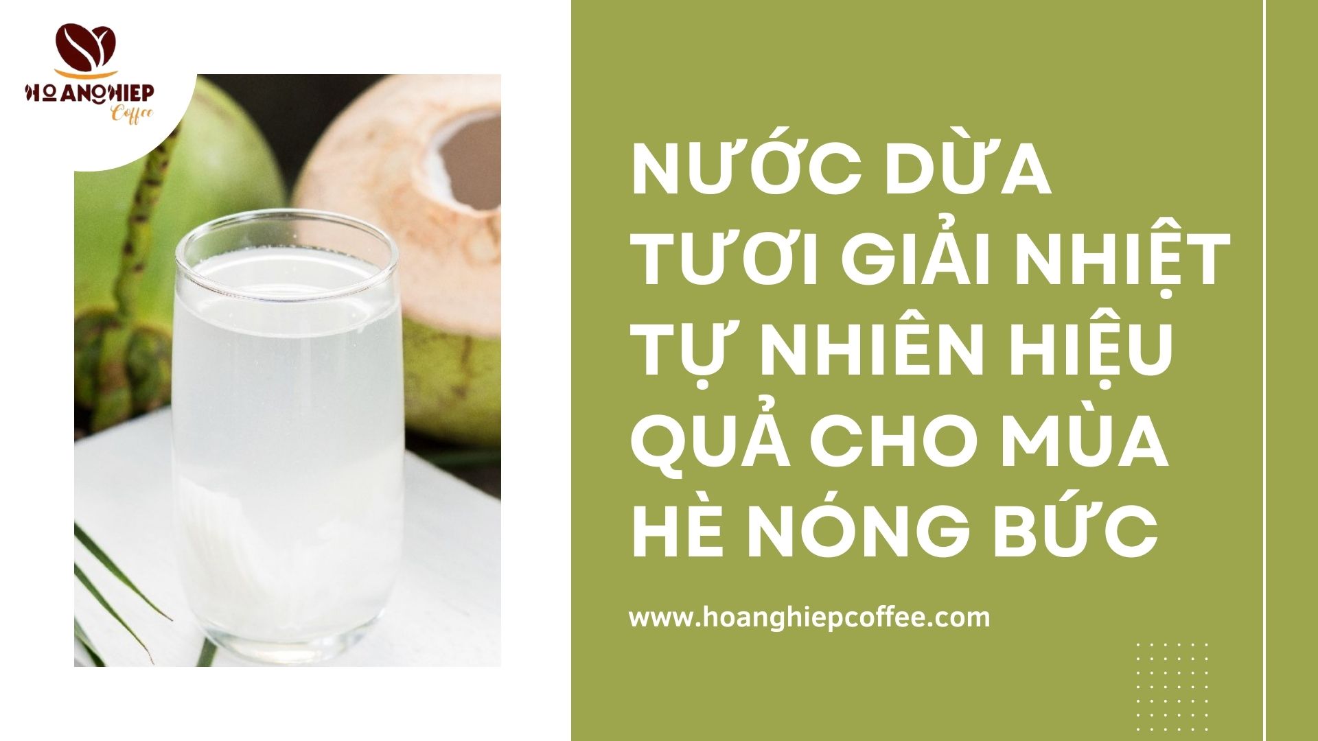nuoc-dua-tuoi-giai-nhiet-tu-nhien-hieu-qua-cho-mua-he-nong-buc