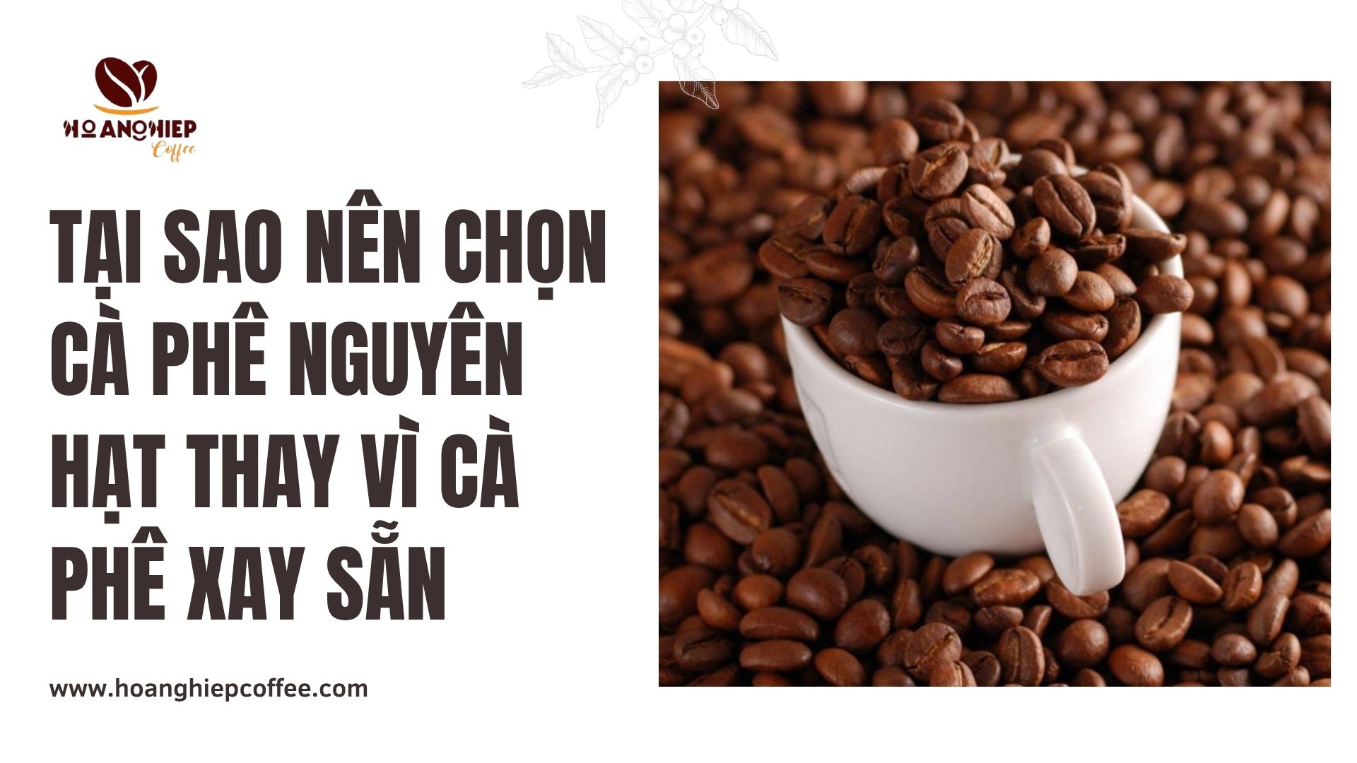 tai-sao-nen-chon-ca-phe-nguyen-hat-thay-vi-ca-phe-xay-san