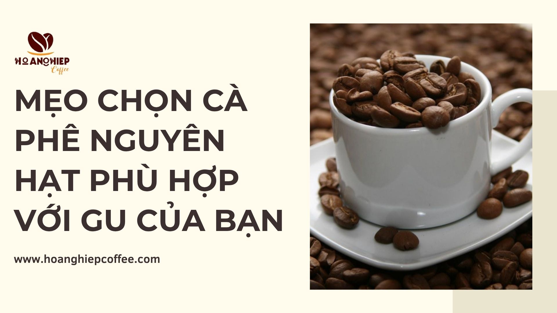 meo-chon-ca-phe-nguyen-hat-phu-hop-voi-gu-cua-ban