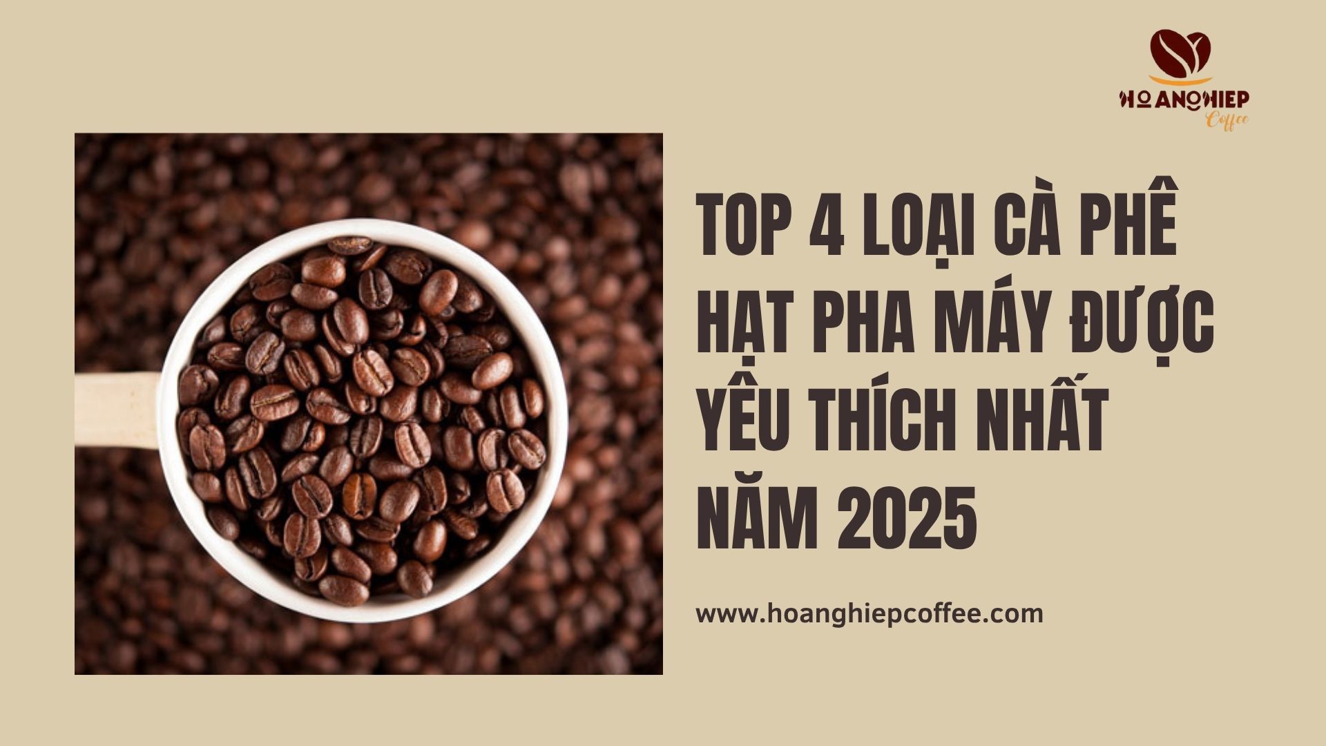 top-4-loai-ca-phe-hat-pha-may-duoc-yeu-thich-nhat-nam-2025
