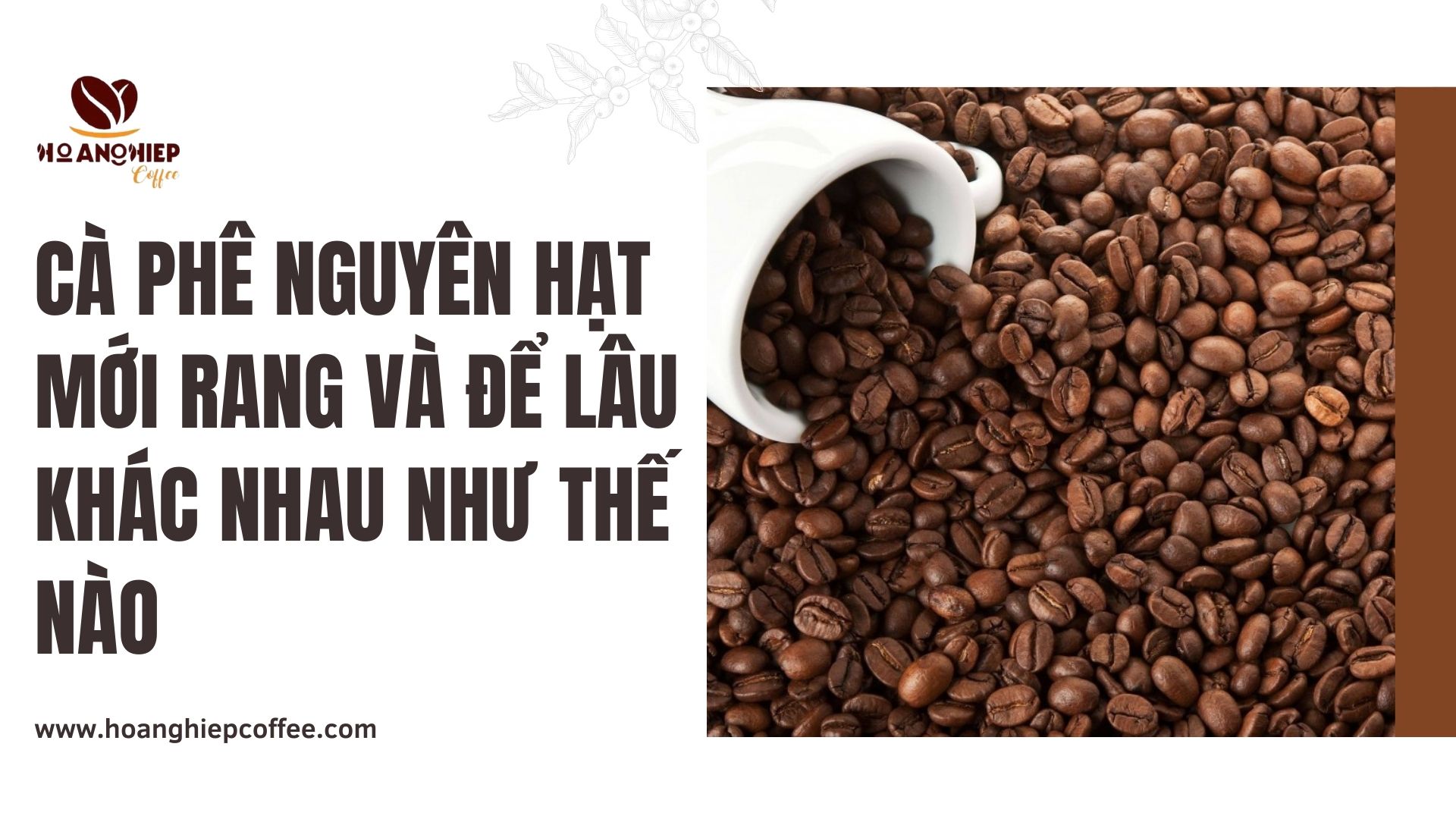 ca-phe-nguyen-hat-moi-rang-va-de-lau-khac-nhau-nhu-the-nao
