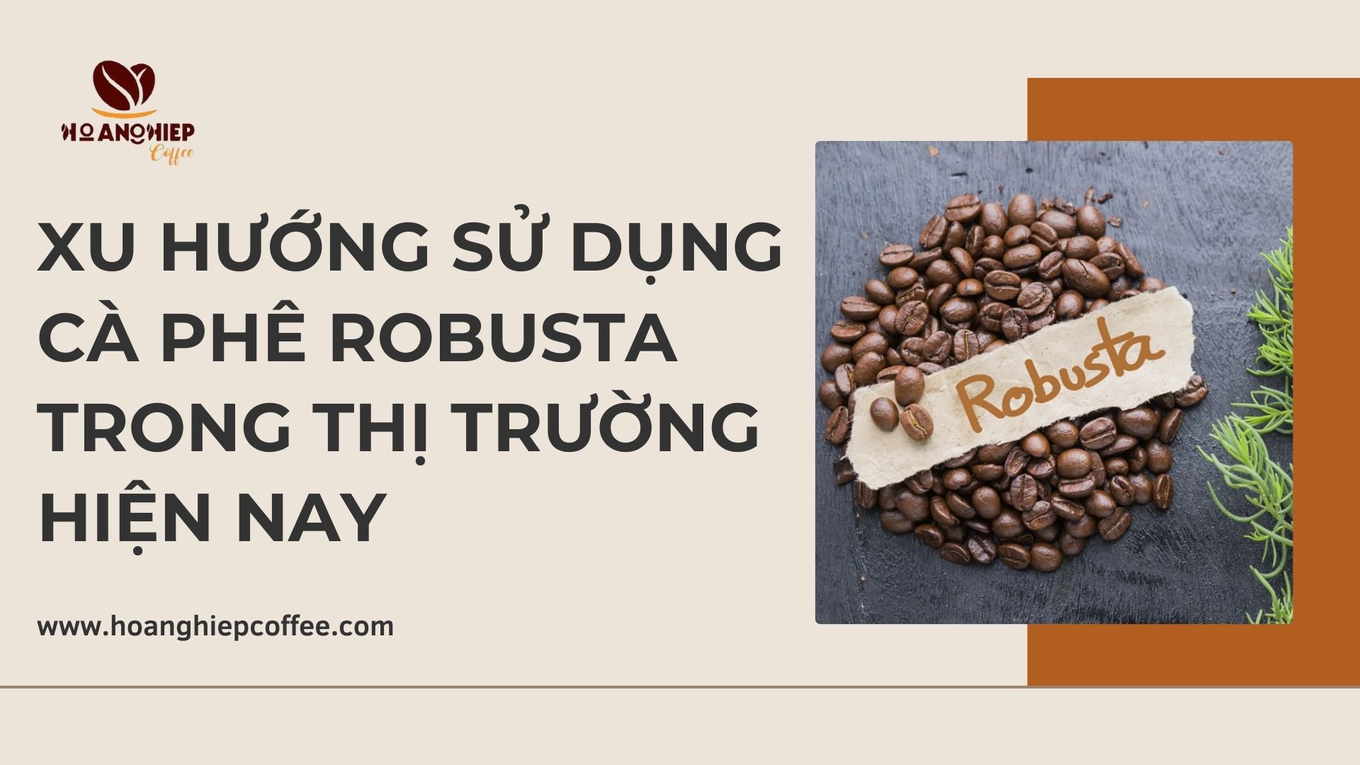 xu-huong-su-dung-ca-phe-robusta-trong-thi-truong-hien-nay