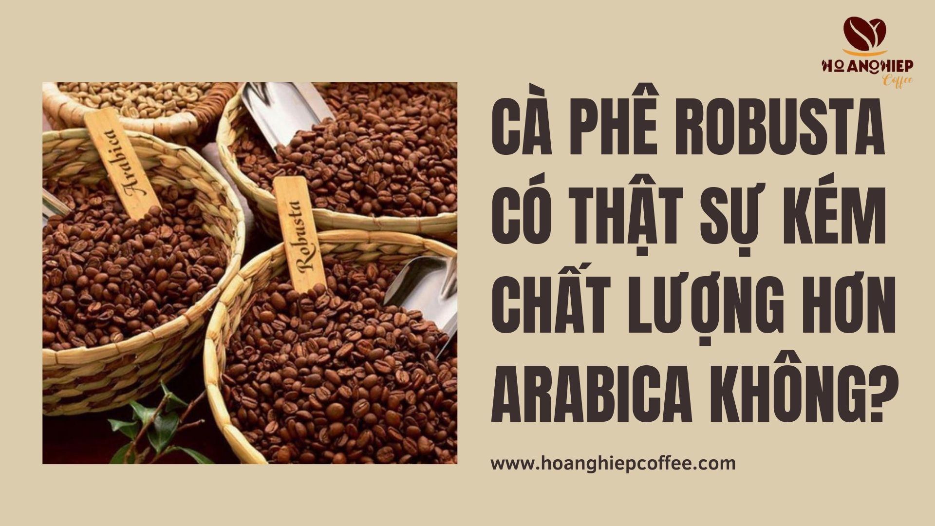 ca-phe-robusta-co-that-su-kem-chat-luong-hon-arabica-khong