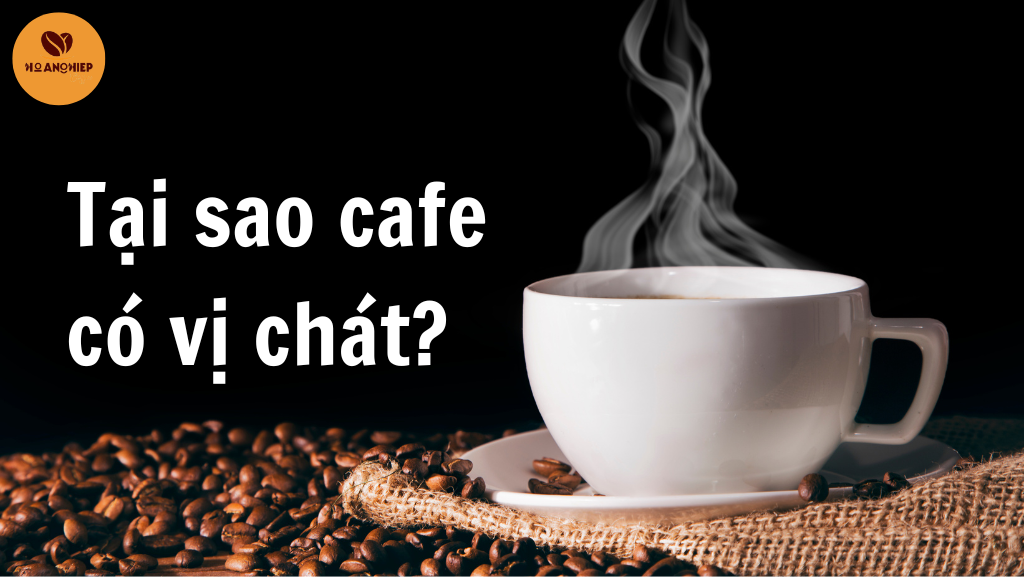 tai-sao-cafe-co-vi-chat