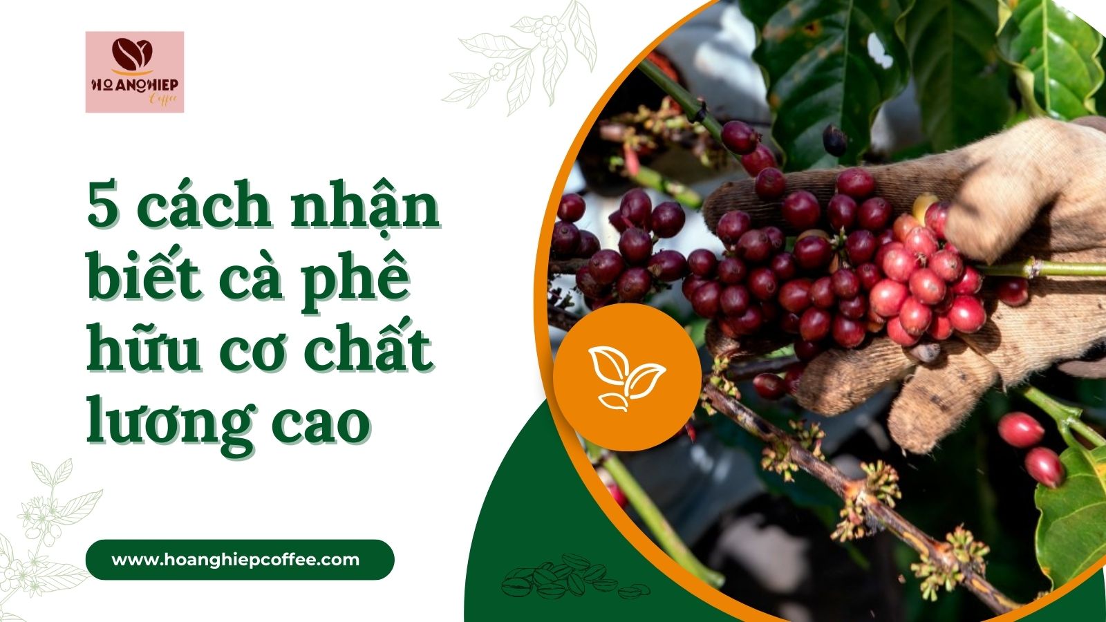 5-cach-nhan-biet-ca-phe-huu-co-chat-luong-cao