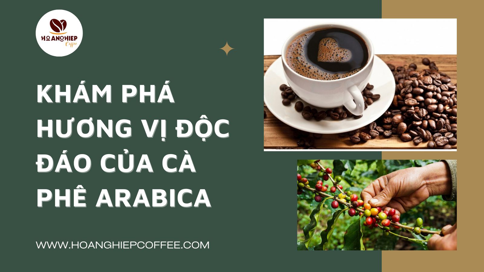 kham-pha-huong-vi-doc-dao-cua-ca-phe-arabica