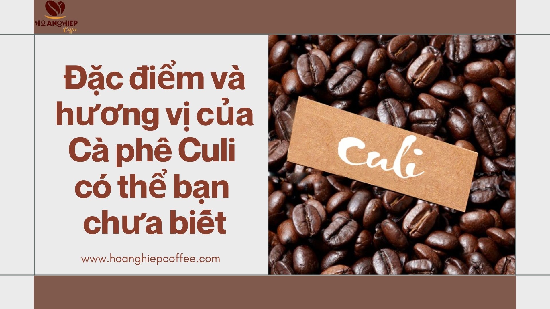 dac-diem-va-huong-vi-cua-ca-phe-culi-co-the-ban-chua-biet
