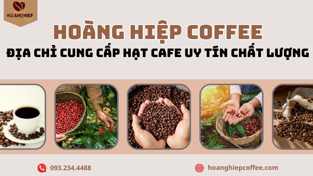 hoang-hiep-coffee-dia-chi-cung-cap-hat-cafe-uy-tin-chat-luong