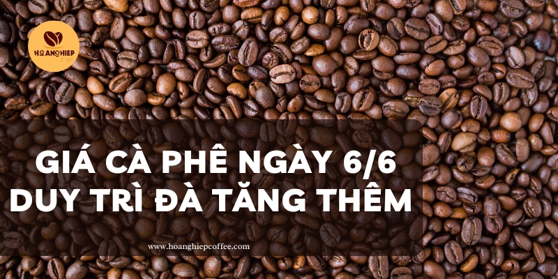 gia-ca-phe-ngay-6-6-duy-tri-da-tang-them-1-500-dong-kg