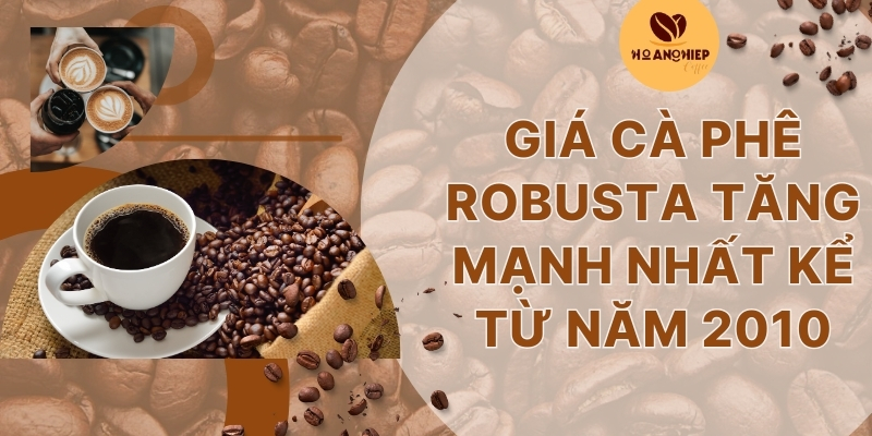 gia-ca-phe-robusta-tang-manh-nhat-ke-tu-nam-2010