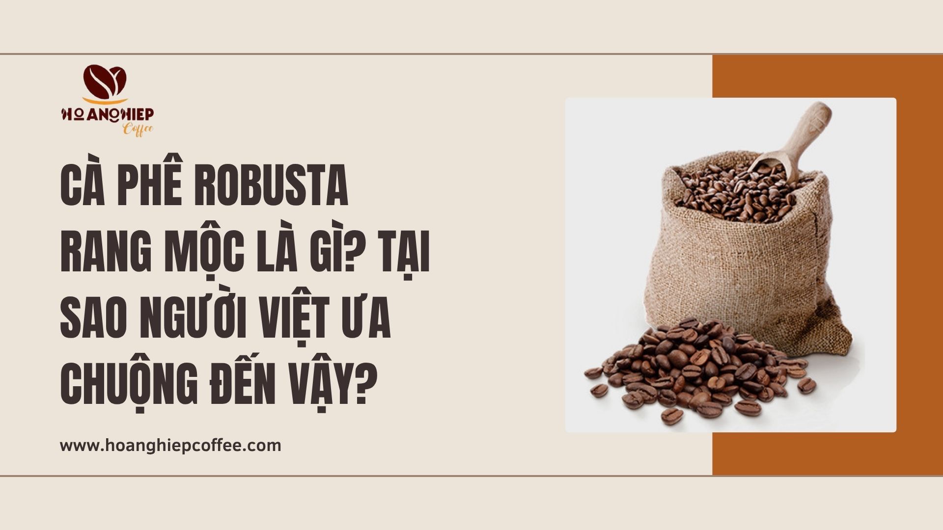 ca-phe-robusta-rang-moc-la-gi-tai-sao-nguoi-viet-ua-chuong-den-vay