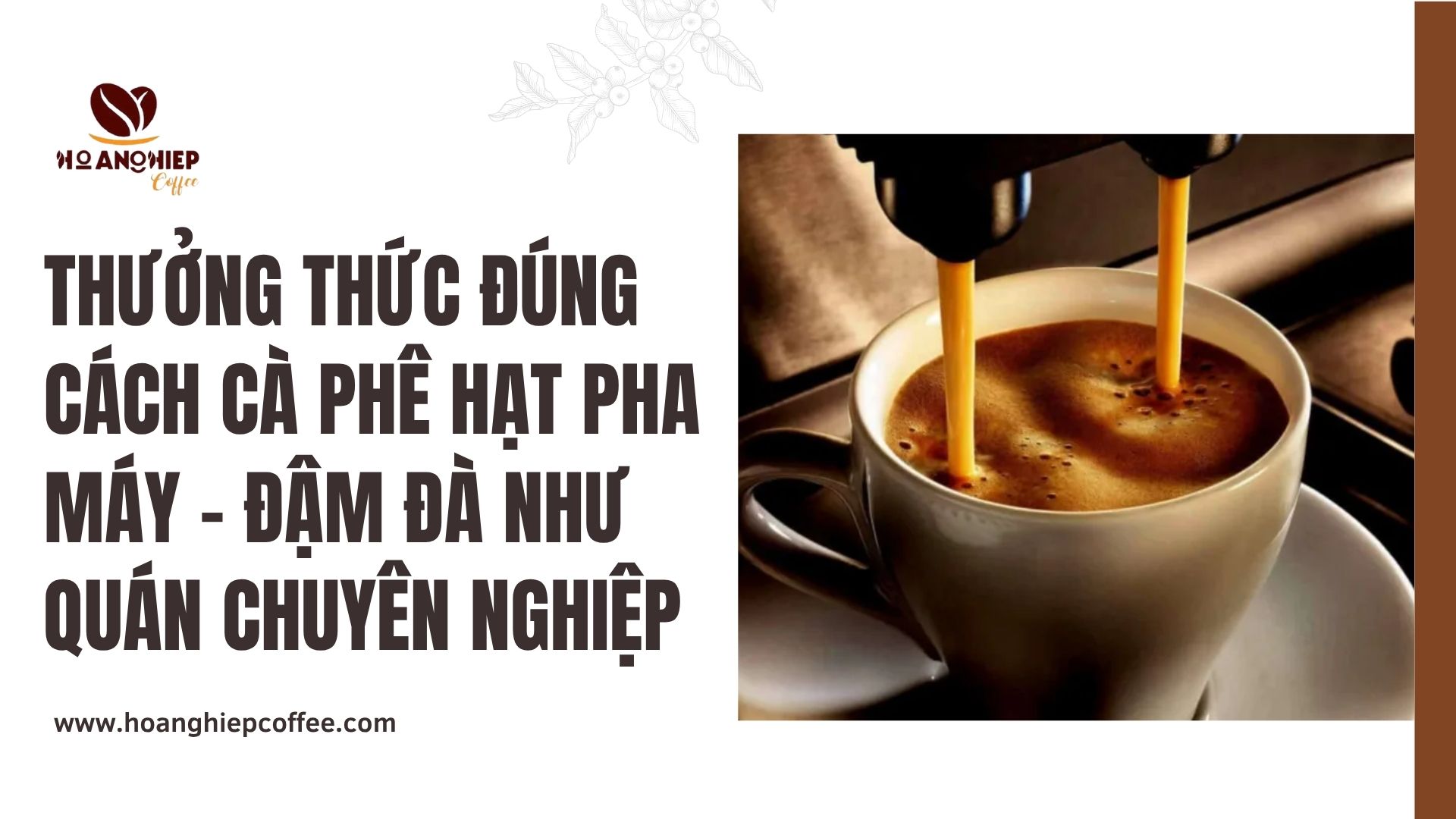 thuong-thuc-dung-cach-ca-phe-hat-pha-may-dam-da-nhu-quan-chuyen-nghiep