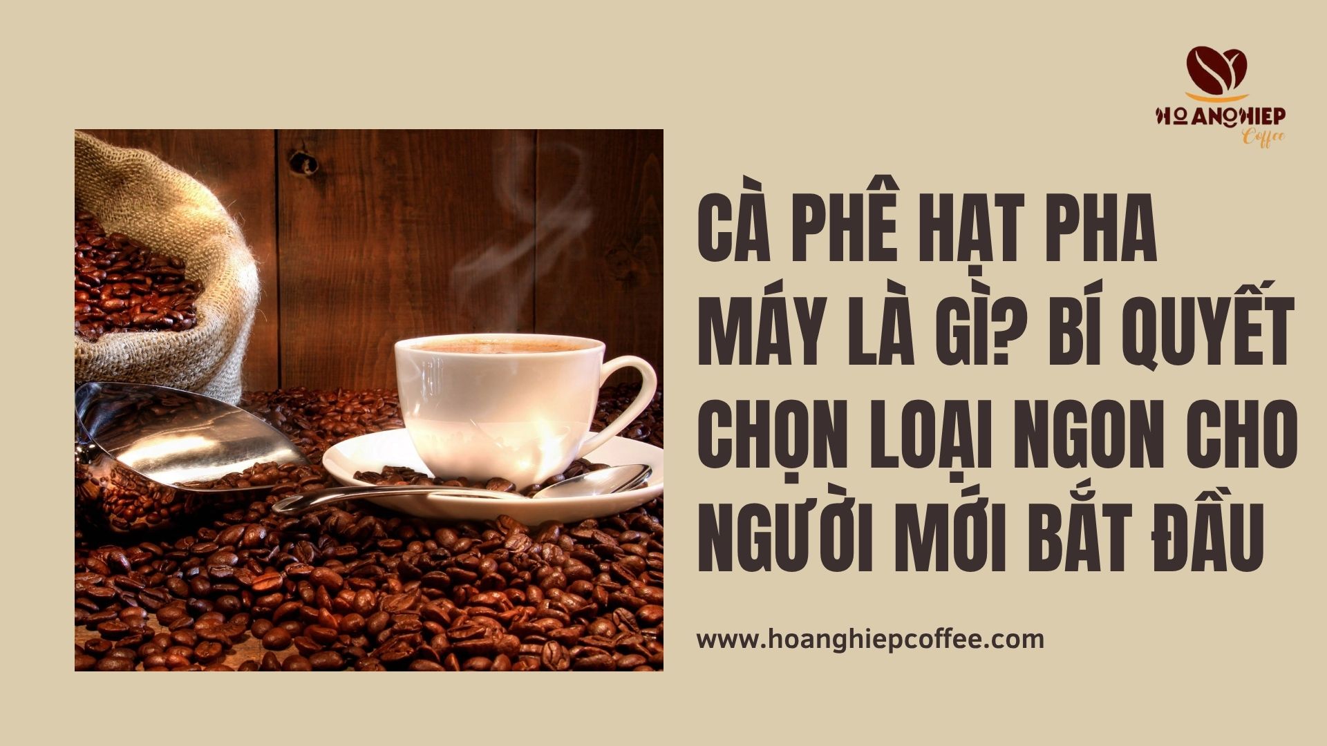 ca-phe-hat-pha-may-la-gi-bi-quyet-chon-loai-ngon-cho-nguoi-moi-bat-dau