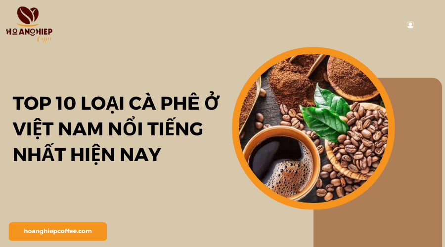 top-10-loai-ca-phe-o-viet-nam-noi-tieng-nhat-hien-nay