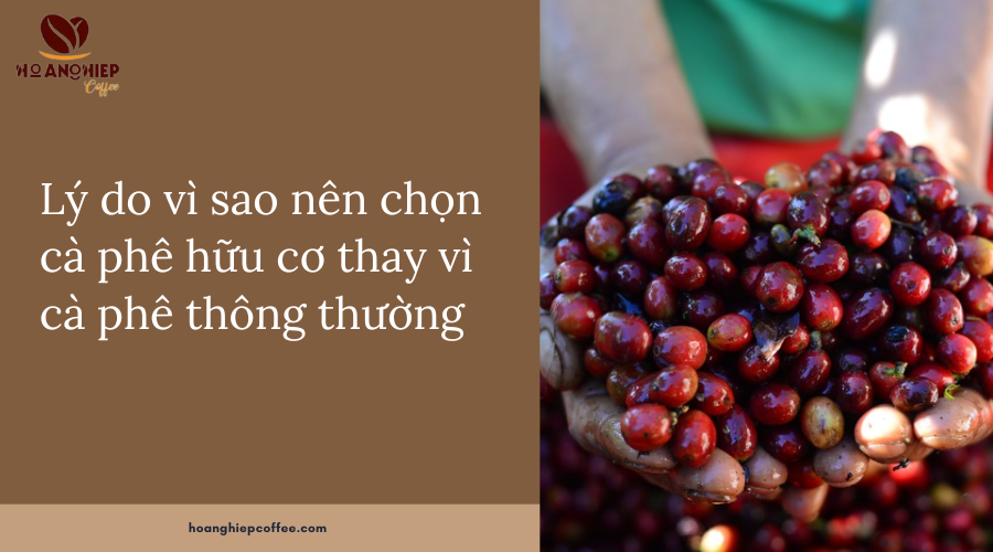 ly-do-vi-sao-nen-chon-ca-phe-huu-co-thay-vi-ca-phe-thong-thuong