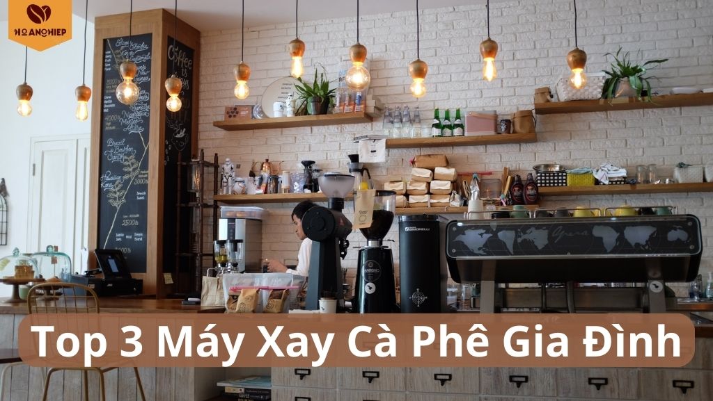 top-3-may-xay-ca-phe-gia-dinh-duoc-su-dung-nhieu-nhat