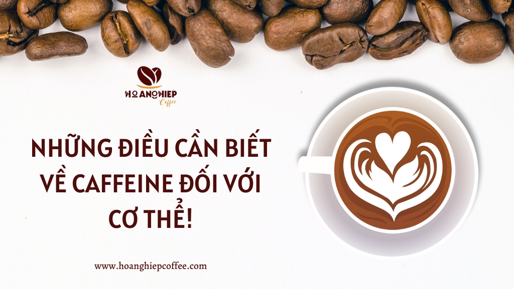 nhung-dieu-can-biet-ve-caffeine-doi-voi-co-the