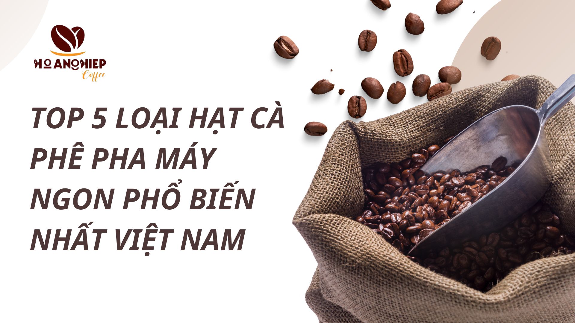 top-5-loai-hat-ca-phe-pha-may-ngon-pho-bien-nhat-viet-nam