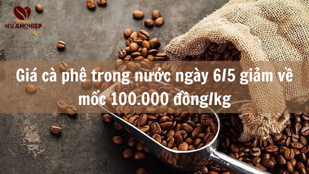 gia-ca-phe-trong-nuoc-ngay-6-5-giam-ve-moc-100-000-dong-kg