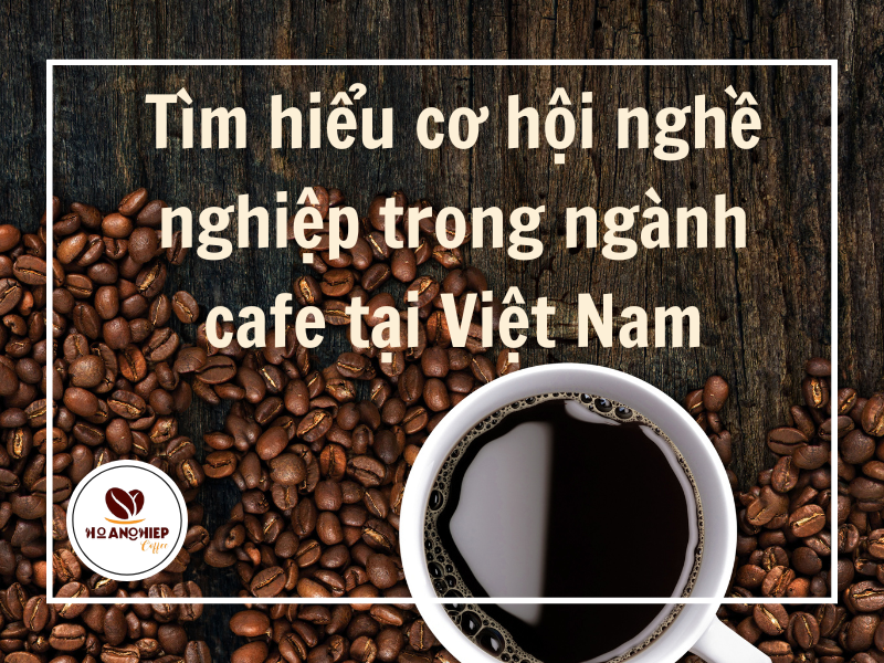 tim-hieu-co-hoi-nghe-nghiep-trong-nganh-cafe-tai-viet-nam