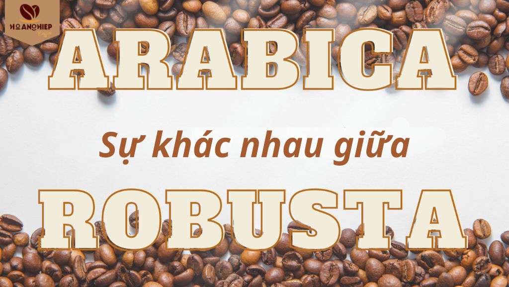 su-khac-nhau-giua-ca-phe-arabica-va-ca-phe-robusta