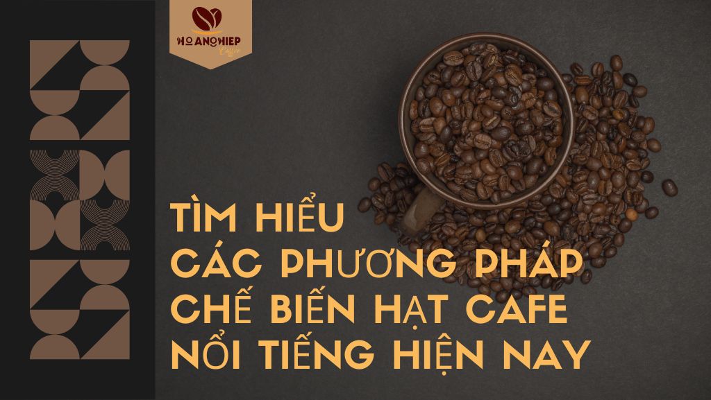 tim-hieu-cac-phuong-phap-che-bien-hat-cafe-noi-tieng-hien-nay