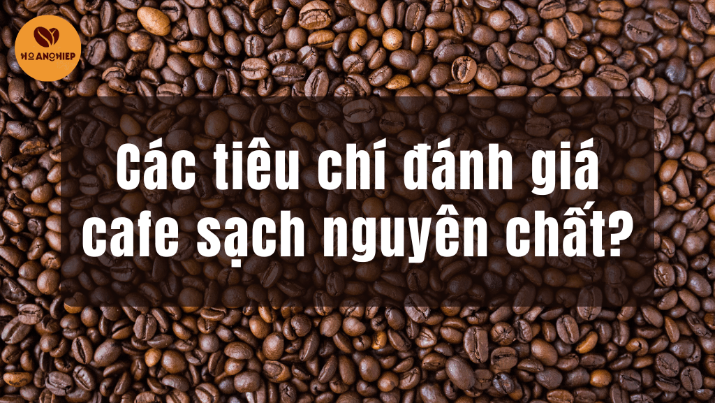 cac-tieu-chi-danh-gia-cafe-sach-nguyen-chat