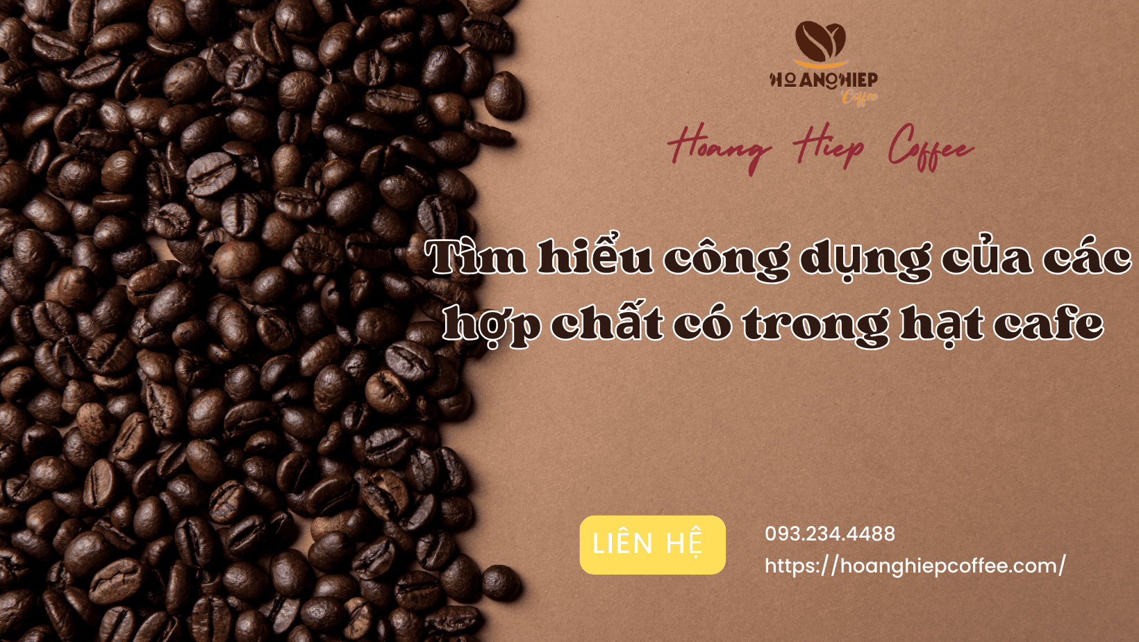 tim-hieu-cong-dung-cua-cac-hop-chat-co-trong-hat-cafe