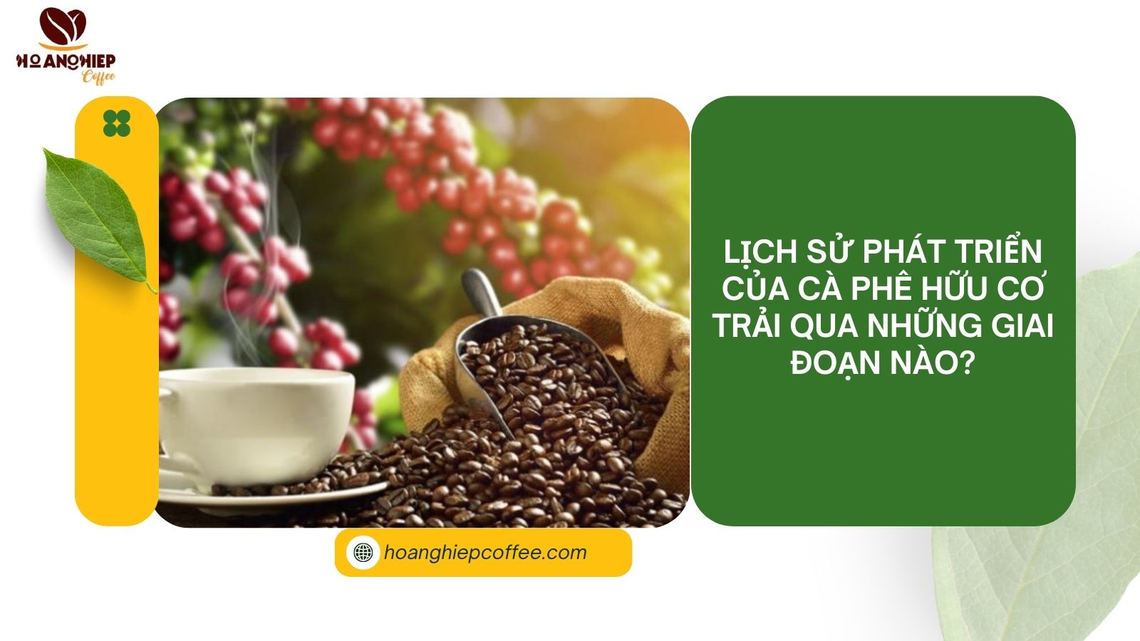 lich-su-phat-trien-cua-ca-phe-huu-co-trai-qua-nhung-giai-doan-nao