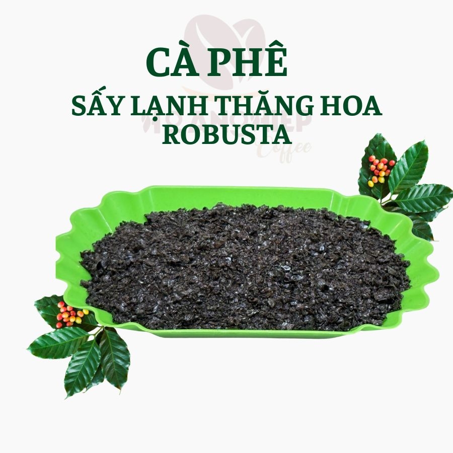 Cà phê sấy lạnh thăng hoa Robusta là gì? Tìm hiểu từ A–Z