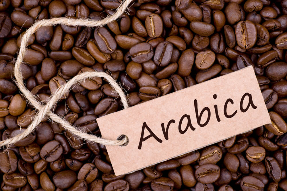 Cà phê arabica là gì? Khám phá hương vị tinh tế dành riêng cho người sành cà phê