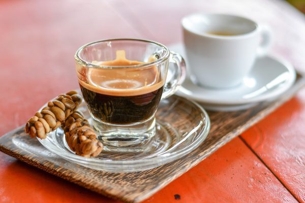 Cà phê chồn có những đặc điểm gì mà lại đắt như vậy?