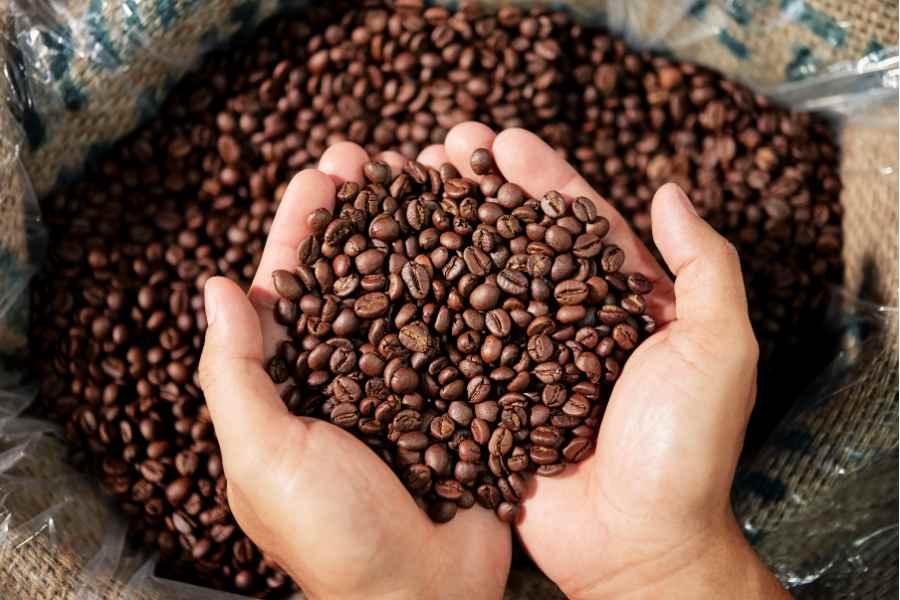 Cà phê hạt rang mộc là gì? Khác gì với cà phê tẩm hương?