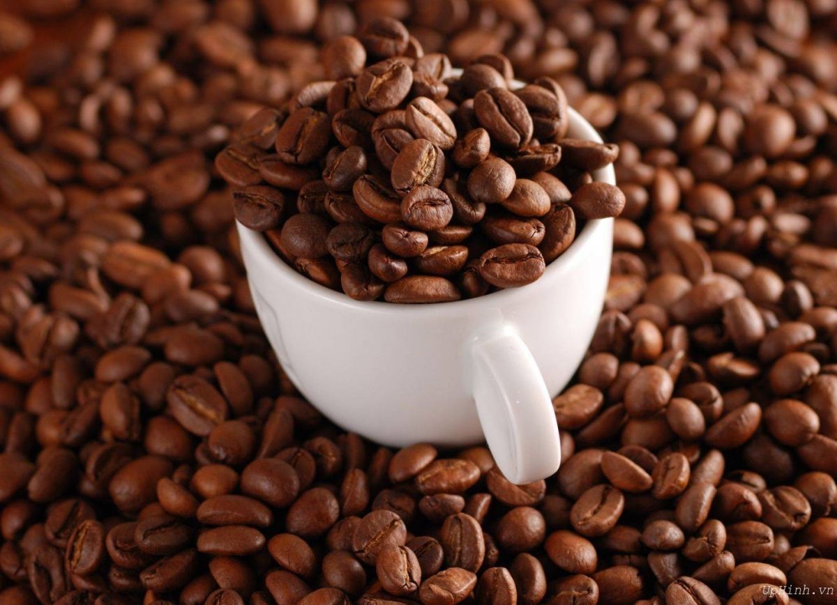 Cà phê moka – Nữ hoàng cà phê của vùng đất việt
